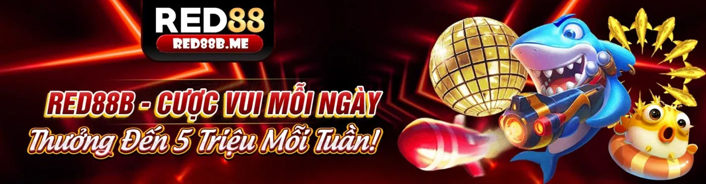 Sân đấu đá gà trực tuyến XN888